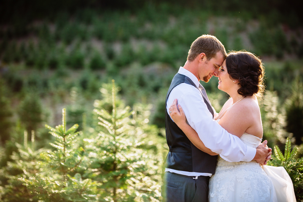 Trinity Tree Farm wedding photography