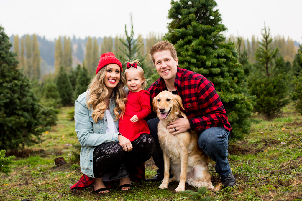 mcmurtreys tree farm, seattle family photographer, woodinville family photographer
