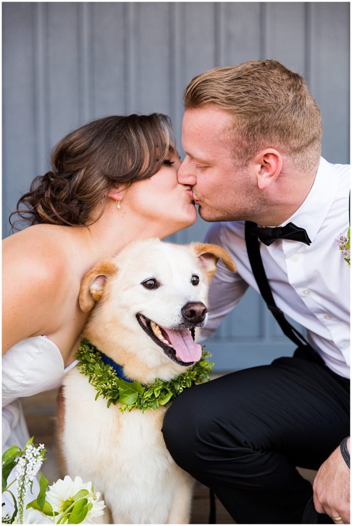 weddings with dogs - The Eventists - Emma Lee Photography - Ray's Boathouse Wedding