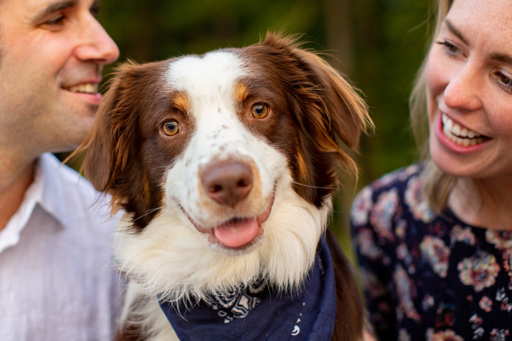 Deception Pass Engagement Session / Emma Lee Photography